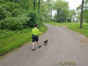 Read more about the article I took the boys and the dog on a hike today