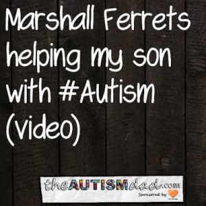 Read more about the article How @MarshallFerrets helping my son with #Autism (video) 