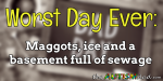 Worst Day Ever – Maggots, ice and a basement full of sewage