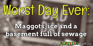 Read more about the article Worst Day Ever – Maggots, ice and a basement full of sewage