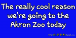 The really cool reason we’re going to the @AkronZoo today