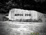 Thank you Wishes Can Happen and the @AkronZoo for an amazing day