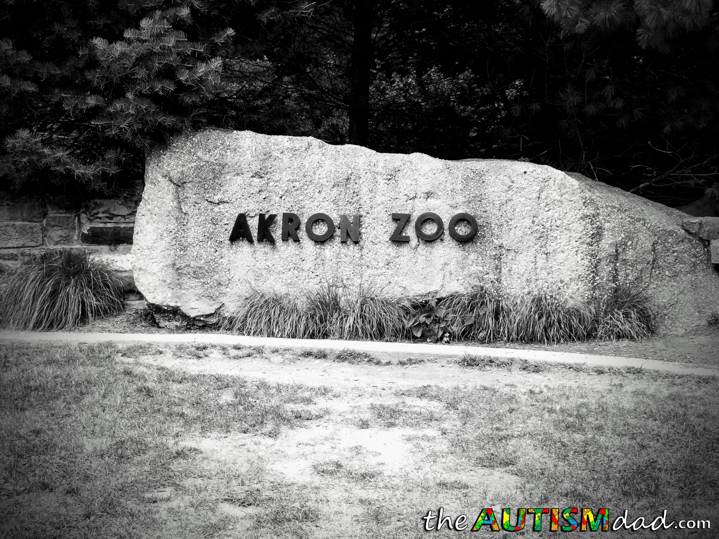 Read more about the article Thank you Wishes Can Happen and the @AkronZoo for an amazing day