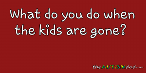 Read more about the article What do you do when the kids are gone?