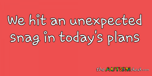 Read more about the article We hit an unexpected snag in today’s plans