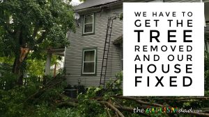 Read more about the article We have to get the tree removed and our house fixed