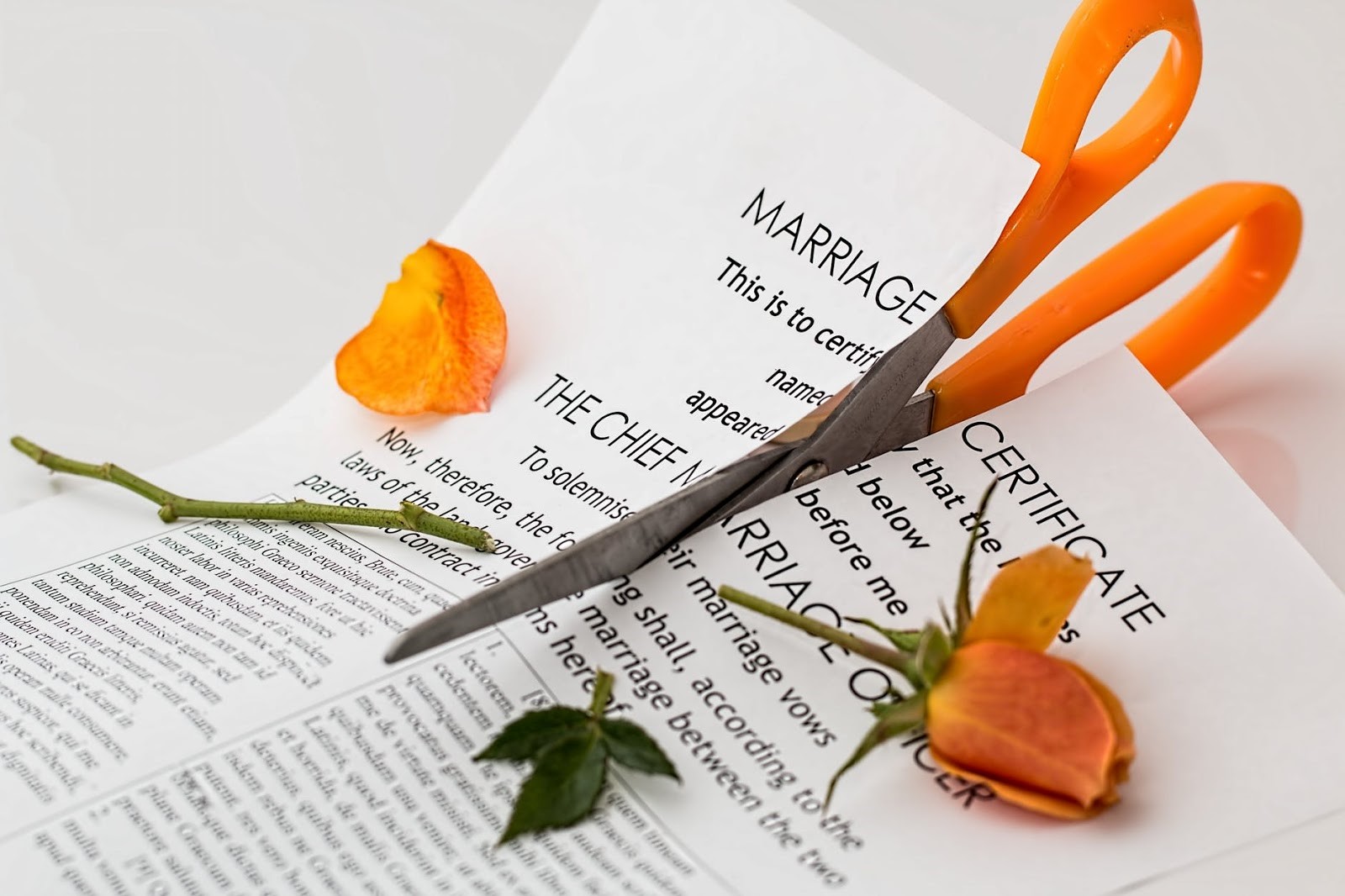 Read more about the article 3 Things To Bear In Mind After A Divorce
