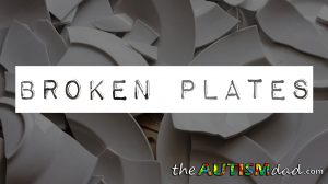Read more about the article Broken Plates