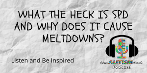 Read more about the article What the heck is #SPD and why does it cause #meltdowns?