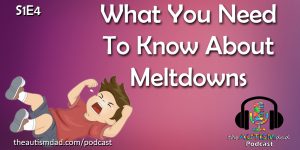Read more about the article What You Need To Know About #Meltdowns