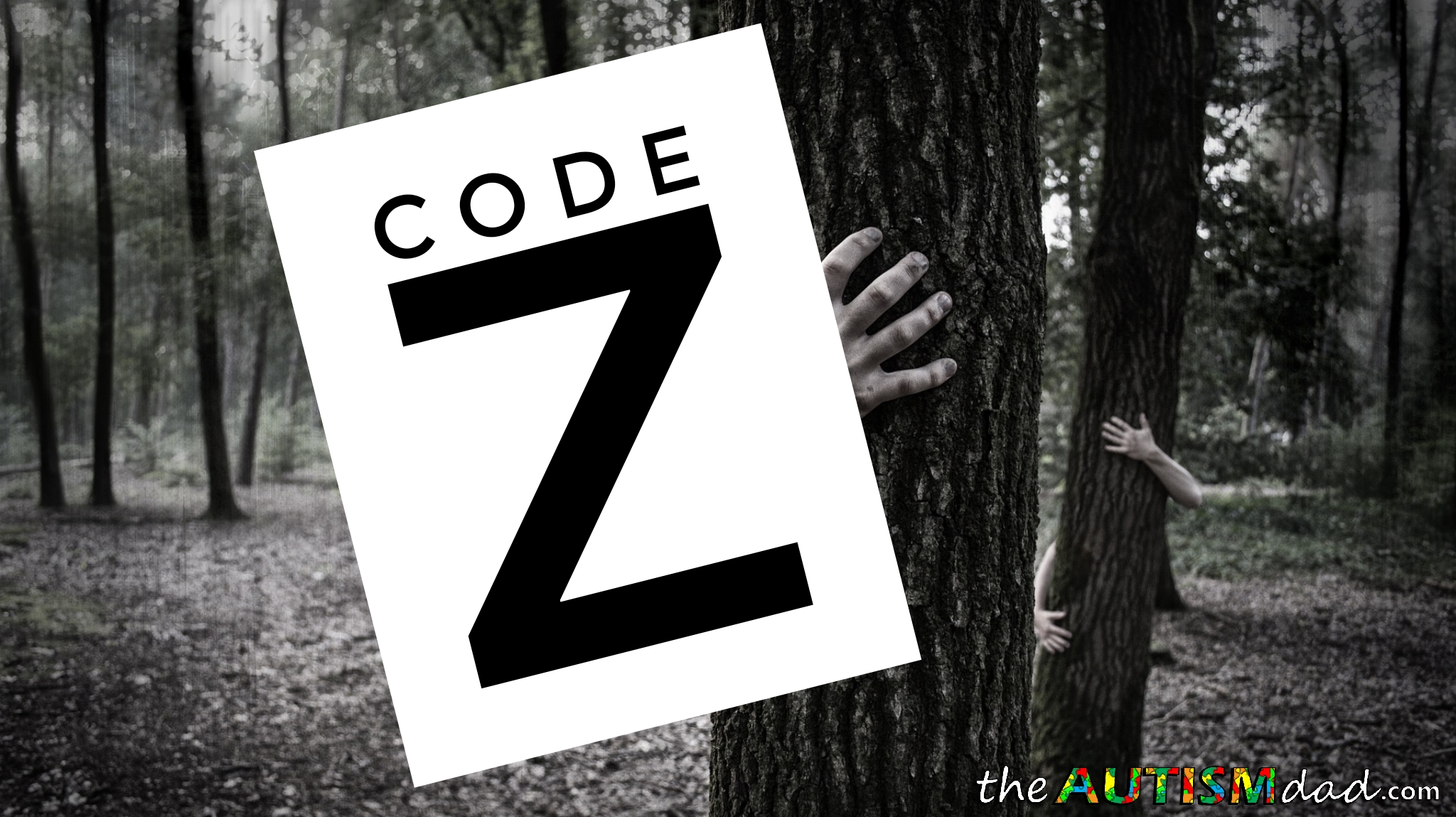 Read more about the article Code Z
