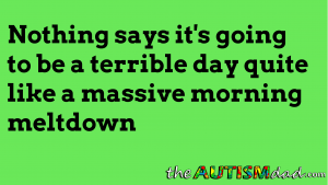 Read more about the article Nothing says it’s going to be a terrible day quite like a massive morning #meltdown