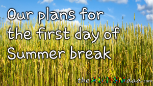 Read more about the article Our plans for the first day of Summer break