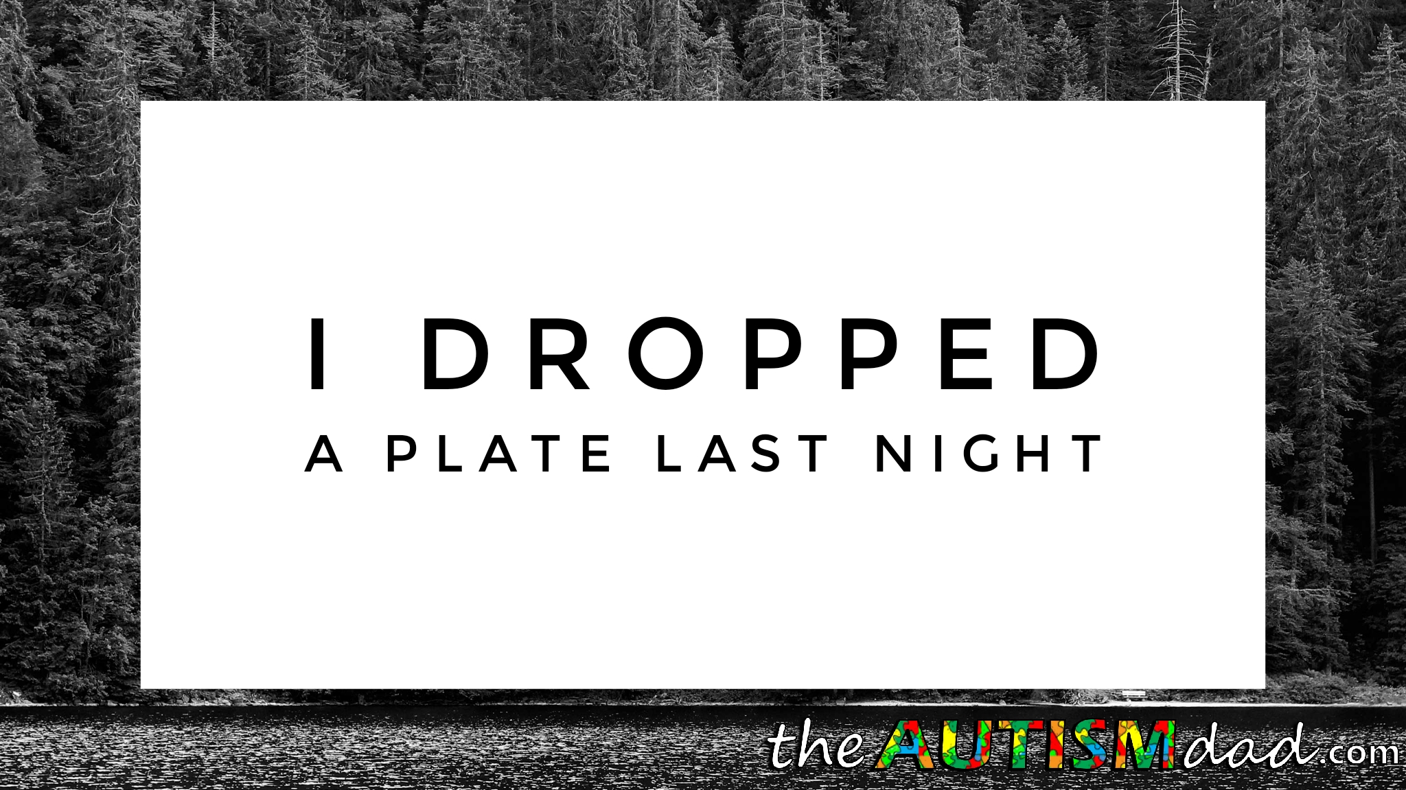 Read more about the article I dropped a plate last night