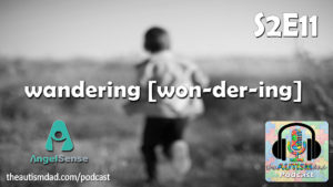Read more about the article What You NEED To Know #Autism and #Wandering (S2E11)