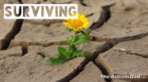 Read more about the article Surviving