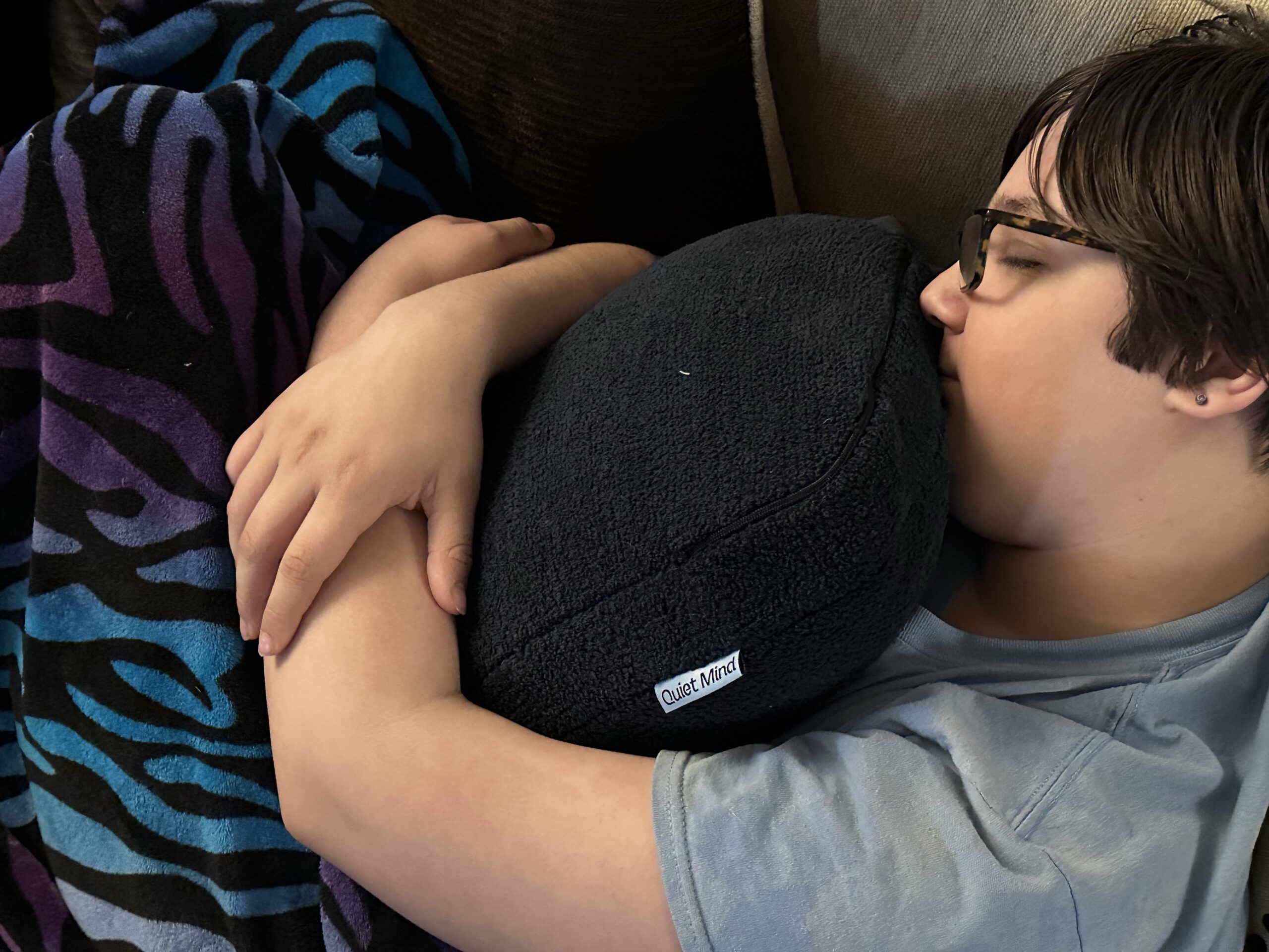 Quiet Mind weighted pillow review: A sensory pillow worth the price? -  Reviewed